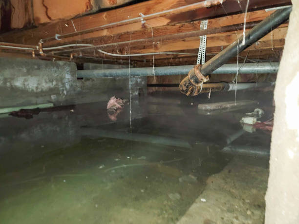 Water damage restoration process in Bigfoot, TX