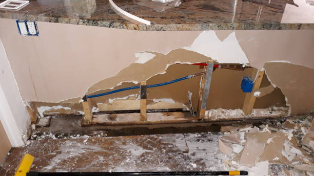 Best Carpet water damage restoration  in Bigfoot, TX