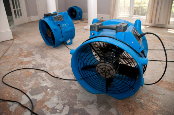 Carpet water damage restoration in Bigfoot, TX